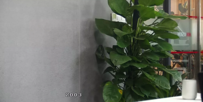 光學變倍效果 光學變倍效果