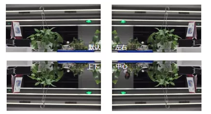 鏡像的幾種效果 鏡像的幾種效果
